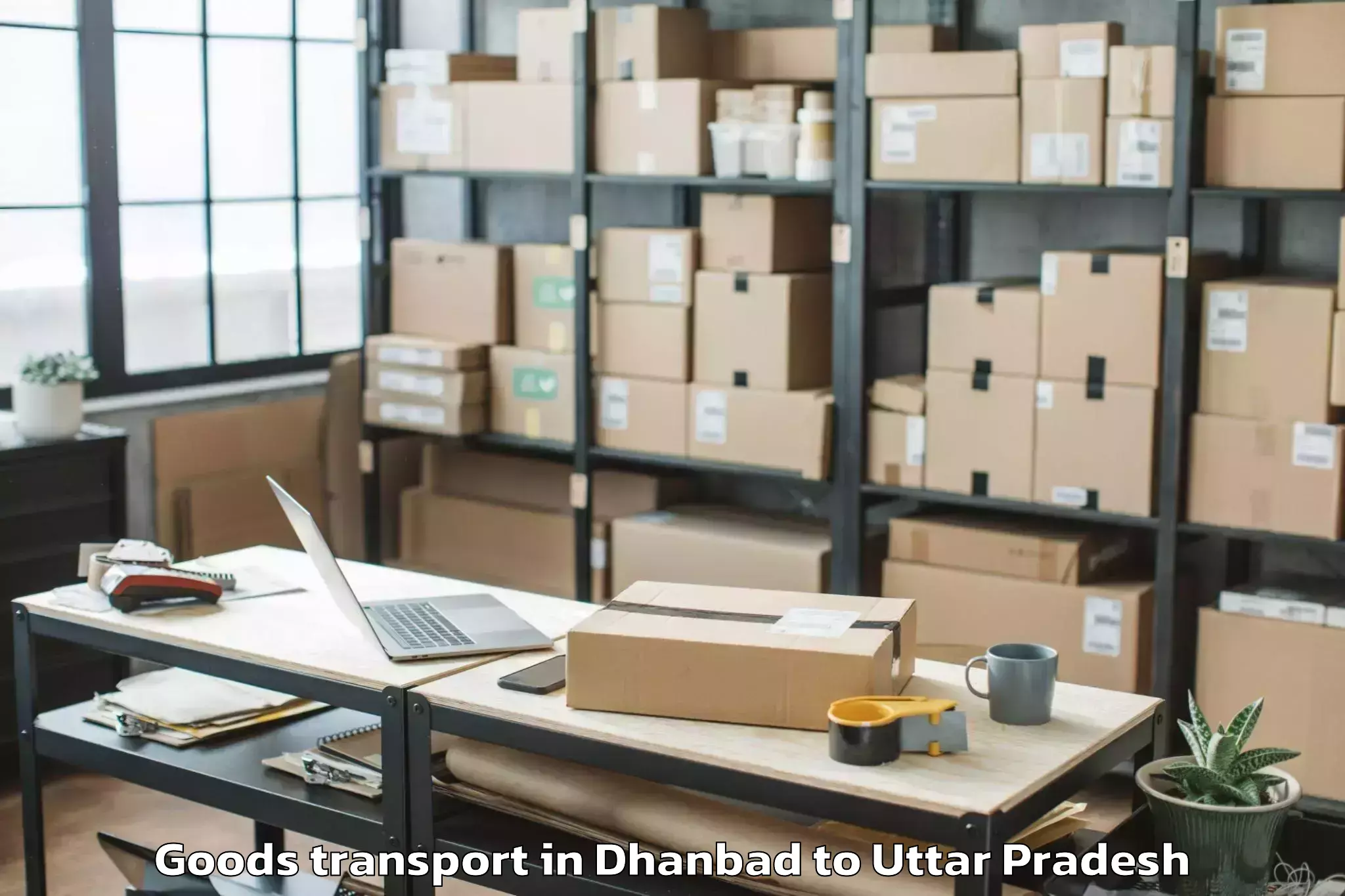 Trusted Dhanbad to Jaypee University Anoopshahr A Goods Transport